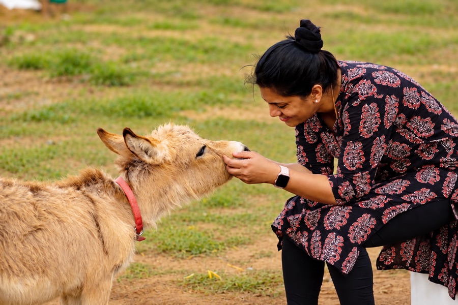 Dr. Saroja Ramesh Kumar caring for a donkey