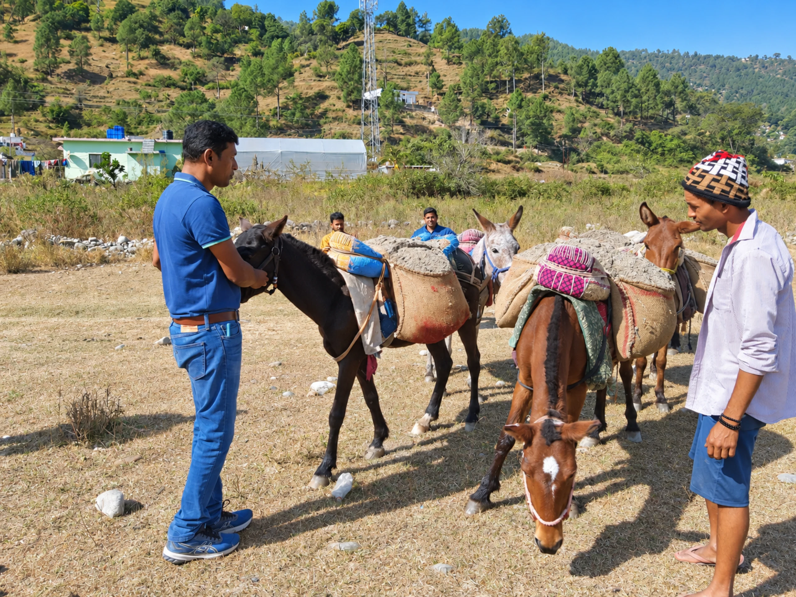 Animal welfare practitioners meeting handlers and their loaded working equids in a rural community